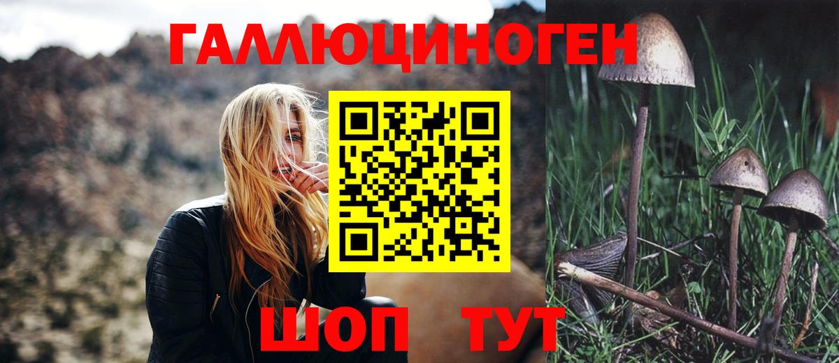 Псилоцибиновые грибы MAGIC MUSHROOMS  Галлюциногенные грибы мухоморы  Вход с VPN  Нижний Новгород 